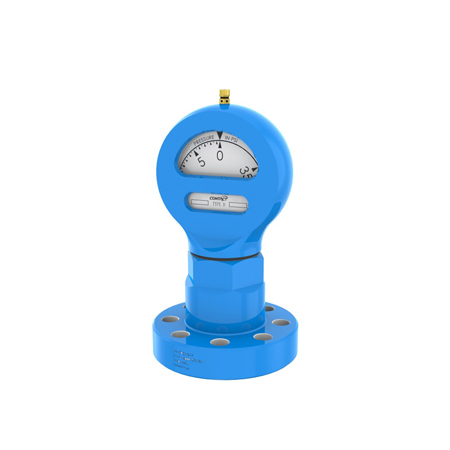 Flanged Type D Gauges